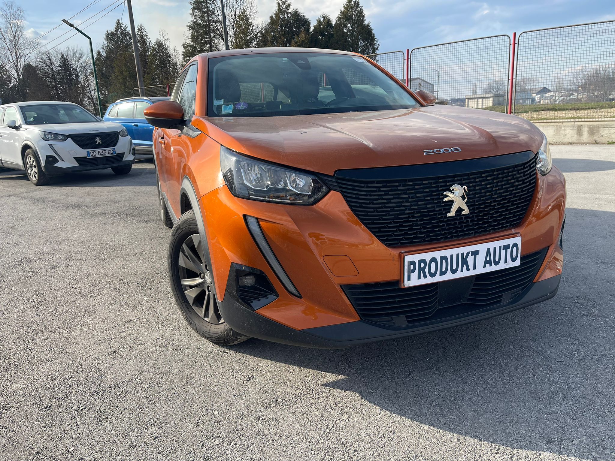 Peugeot  2008 (2021) - 161.281 km