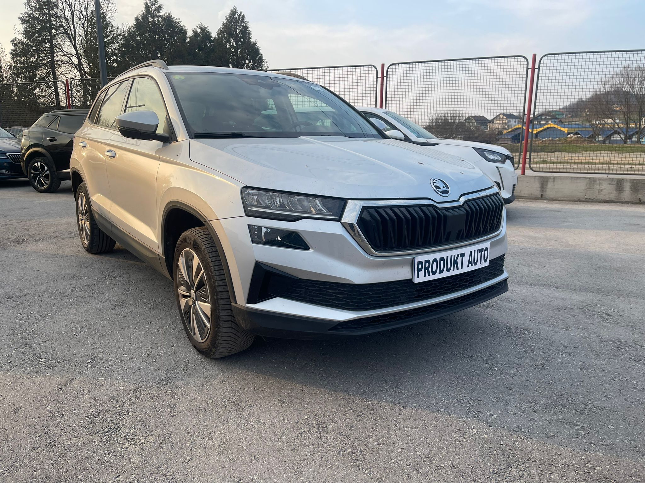 Škoda  Karoq  (2022) - 169.203 km